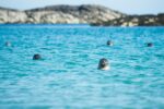 seals on the isle of coll