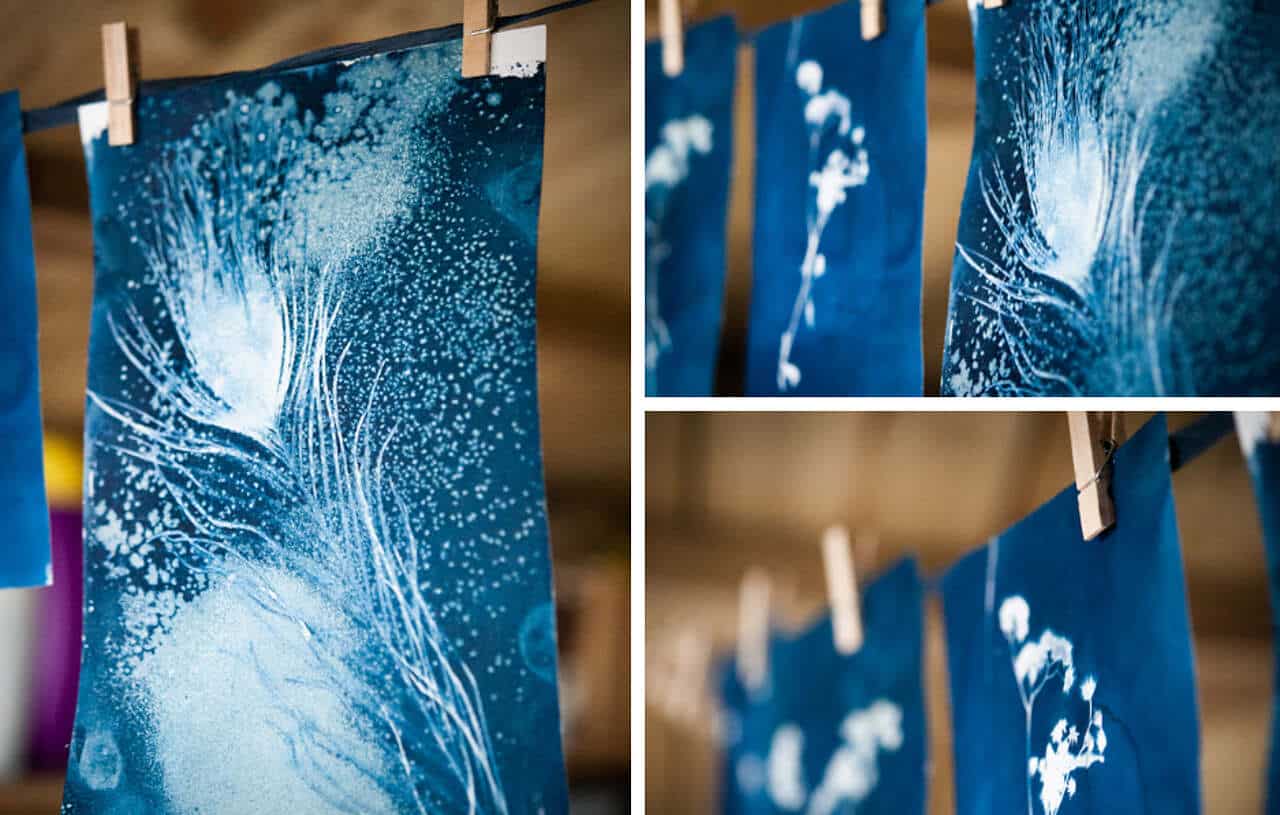 How to dry out a cyanotype print
